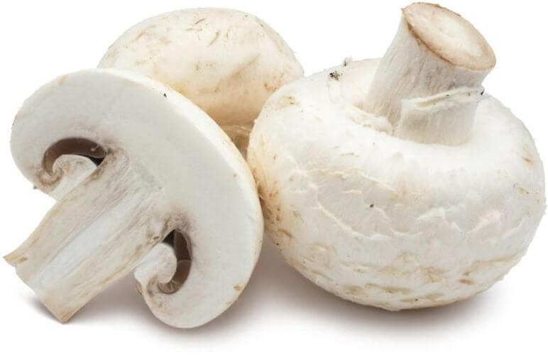 Champignonsaus 200g